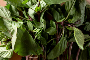A top down view of a pile of Thai basil, as a background.