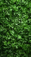Obraz premium Verdant Leafy Foliage Textural Cascade Seamless Green Pattern Botanical Abundance Natural Backdrop Background