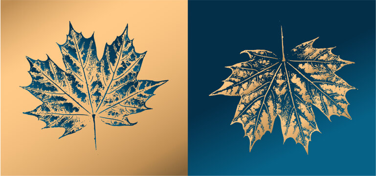 Decorative maple metallic leaf prints or leaf art. Monotone dark green gold and brown botanical leaf illustrations print.
