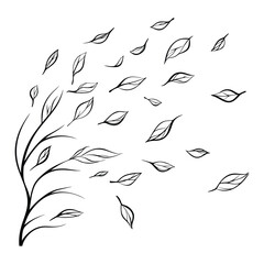 Fototapeta premium Hand-Drawn Falling Leaves in Black and White