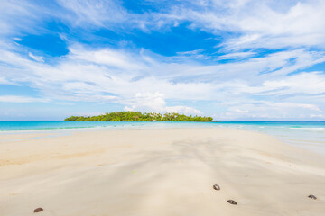 Idyllic white sans sea beach tropical rainforest island sunny day