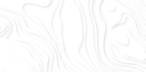 Fototapeta premium White paper cut decoration textured with wavy layers 3d topography relief background. White abstract geometric pattern background, wave and curve abstract background.