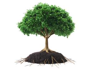 3D Rendered Tree with Roots on transparent background Generative Ai