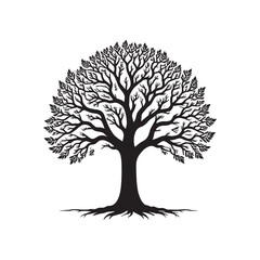 Detailed Tree Illustration