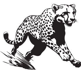 vector illustration of a leopard