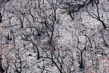 Bushfire damage from the 2025 bushfires started by lightning strikes  in the Grampians (Gariwerd) National Park.