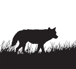 wolf in the grass