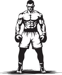 boxer on a white background