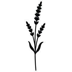 Realistic Lavender Plant Vector | Editable & Scalable Design
