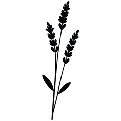 Realistic Lavender Plant Vector | Editable & Scalable Design