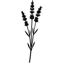 Realistic Lavender Plant Vector | Editable & Scalable Design