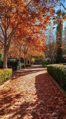 Naklejka premium Autumn park path, colorful leaves, sunlit scene, perfect for nature photography
