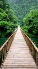 Bamboo Bridge Spanning Serene River in Lush Green Forest with Perspective Shot