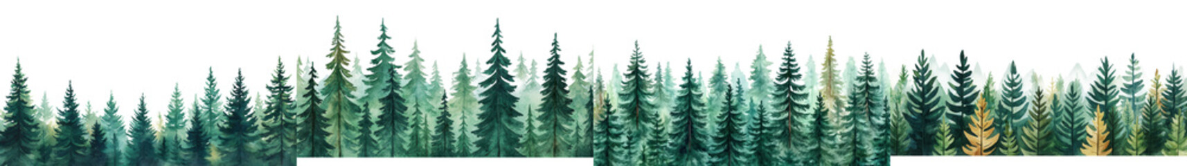Lush evergreen forest landscape with towering pine and fir trees in a serene natural environment  Scenic wilderness outdoor scenery with a peaceful tranquil atmosphere