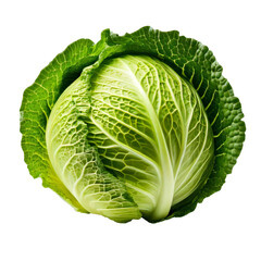 066-Cabbage Commercial isolate with white background no cast shadow