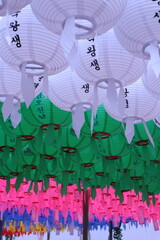 lotus lantern 연등