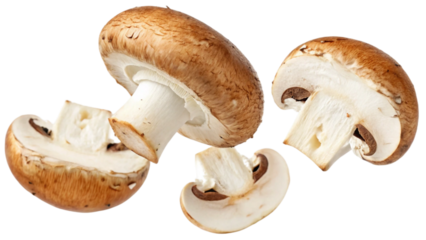 Single whole fresh mushroom champignons and three halved mushroom champignons slice falling or floating isolated on white background. Suitable for marketing or business purposes. PNG file
