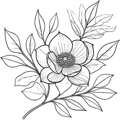 This is an illustration of flowers in a simple and modern line art style.