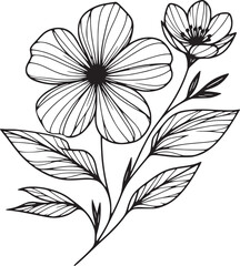 This is an illustration of flowers in a simple and modern line art style.