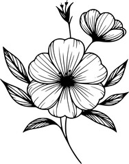 This is an illustration of flowers in a simple and modern line art style.