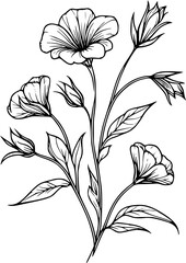 This is an illustration of flowers in a simple and modern line art style.