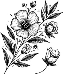 This is an illustration of flowers in a simple and modern line art style.