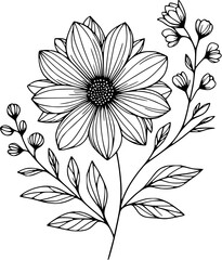 This is an illustration of flowers in a simple and modern line art style.