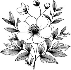 This is an illustration of flowers in a simple and modern line art style.