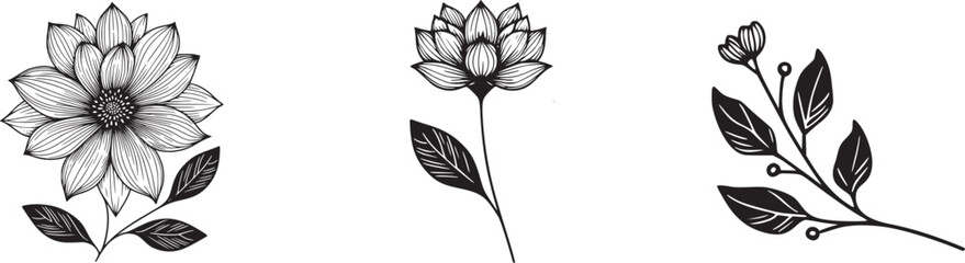 This is an illustration of flowers in a simple and modern line art style.