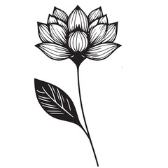 This is an illustration of flowers in a simple and modern line art style.