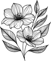 A flower illustration with clean, simple line on a white background