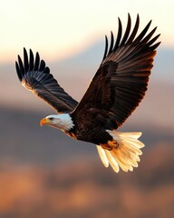 Obraz premium Majestic American Bald Eagle Soaring in Flight Against a Dreamy Sunset Sky
