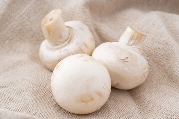 ホワイトマッシュルーム