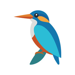 kingfisher on a branch