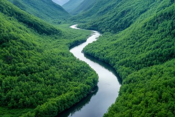 Fototapeta premium Winding river flowing through lush green valley in summer