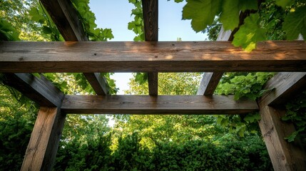 Fototapeta premium Garden Pergola Shade Concept, Rustic Pergola with Reclaimed Wood Beams Shaded by Lush Greenery in a Tranquil Outdoor Setting