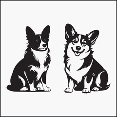 Fototapeta premium Corgi Pembroke Welsh Corgi dog