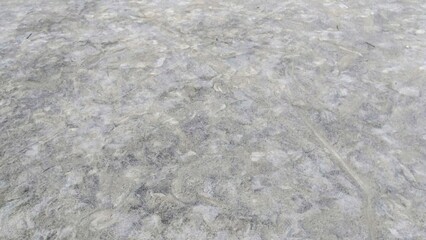 遊んだ園児たちの足跡の残る公園の庭