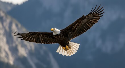 Obraz premium Magnificent Bald Eagle Soaring Across a Blue Sky with Mountainous Backdrop
