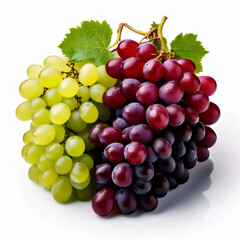 Fototapeta premium 800-Red, green, and purple varieties. Commercial isolate with white background no cast