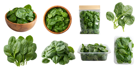 Spinach leaf leafy vegetable flowering plant, many angles view pile stack, wooden bowl, plastic pack box pack container isolated on transparent cutout, PNG. Mockup template for artwork design