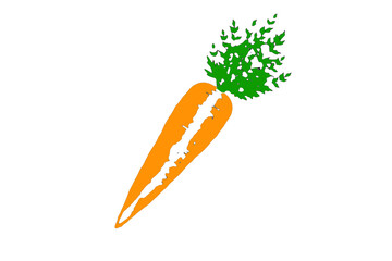 Set of Easter carrots with abstract ornament. Vegetables; healthy or vegan food theme. Vector illustration in flat style isolated on white background.