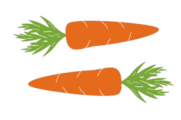 Set of Easter carrots with abstract ornament. Vegetables; healthy or vegan food theme. Vector illustration in flat style isolated on white background.