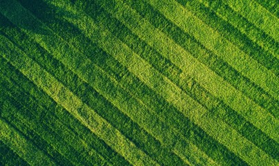 Aerial view of a green grass field with lines and stripes, a top-down perspective, bright daylight, shot from above, a flat lay background