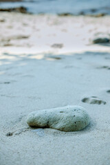 White sand background on the beach
