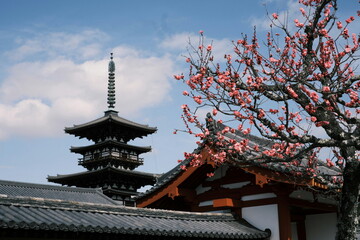 薬師寺の塔と紅梅