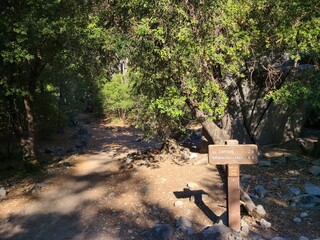 A trail sign for Yosemite Falls in Yosemite National Park, California