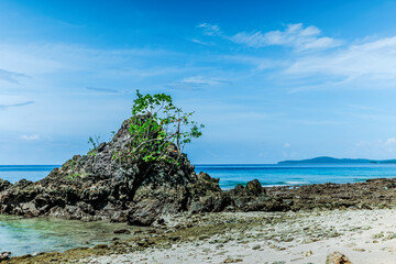 Coral rocks on a beach in Maluku, Indonesia
