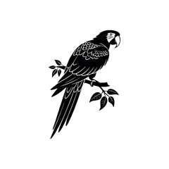 Scarlet Macaw bird silhouette logo vector line art logo design