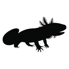 Fototapeta premium Axolotl Silhouette, vector, logo, white background.